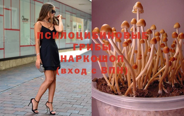 синтетический гашиш Алексин